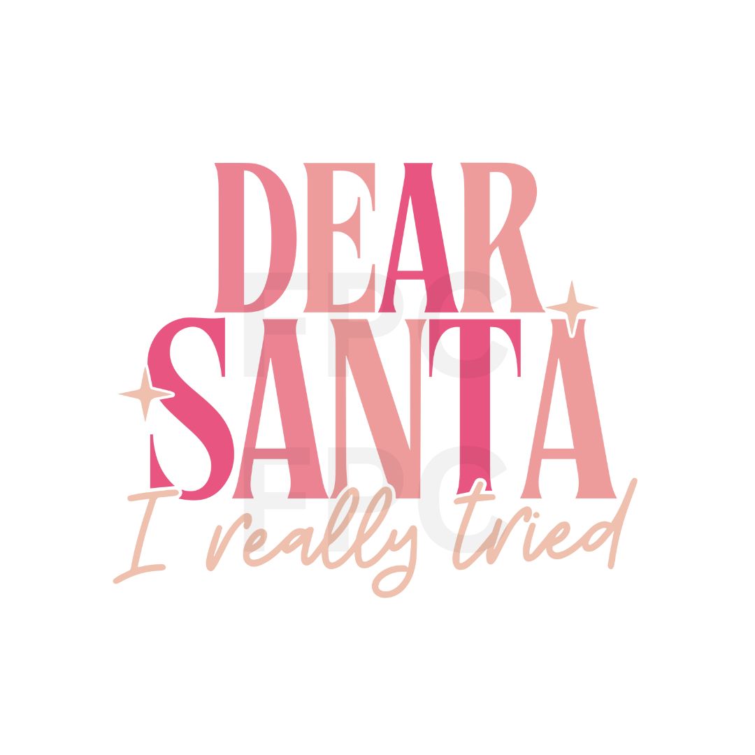 Dear Santa I really Tried